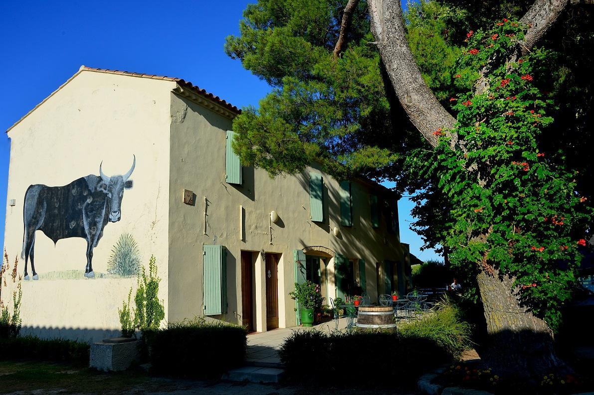 Manade Saint Louis Mas De La Paix Bed and Breakfast Vauvert Buitenkant foto