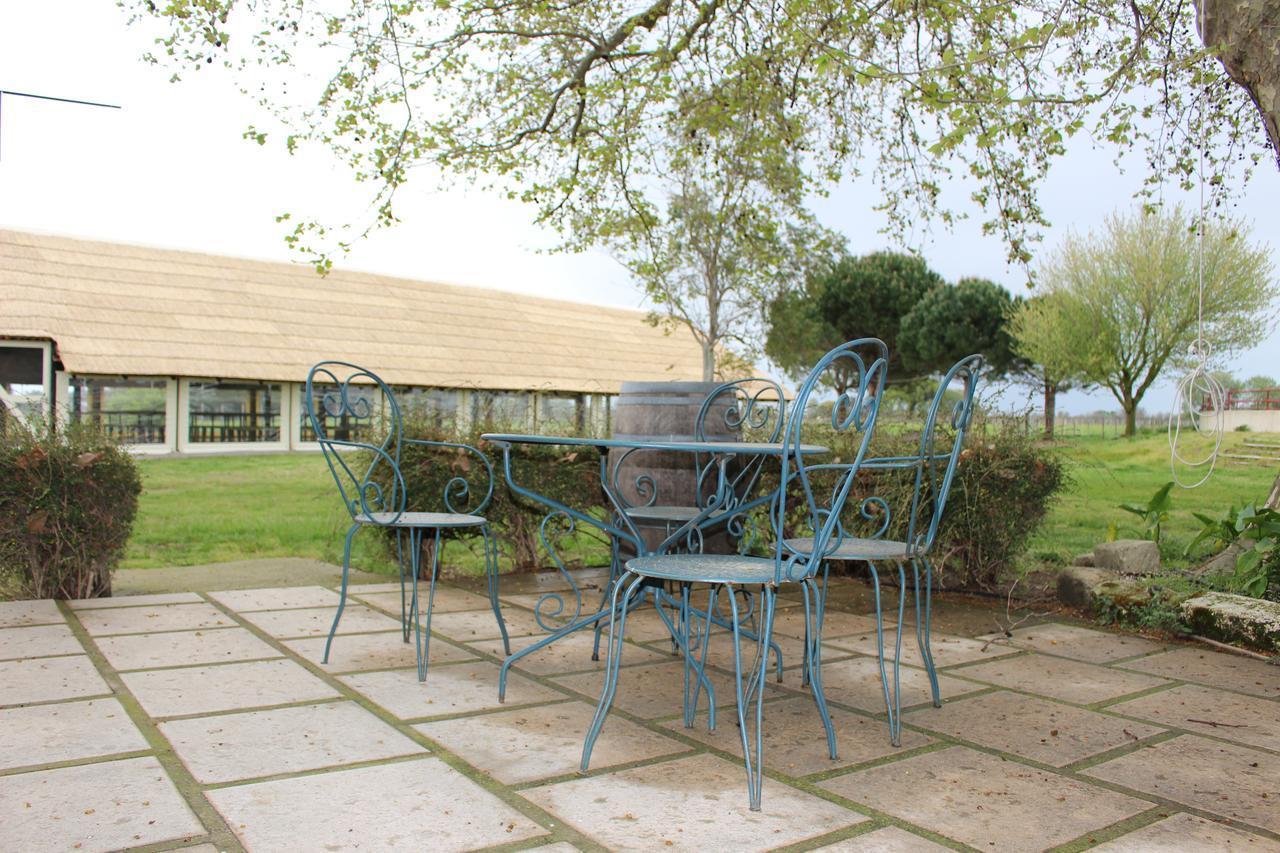 Manade Saint Louis Mas De La Paix Bed and Breakfast Vauvert Buitenkant foto